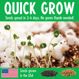 Grow N' Glow Dinosaur Terrarium DIY Craft Kit for Kids