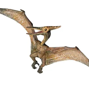 Pteranodon