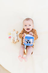 0-6 Months Learning Kit 8 piece Developmental Toys