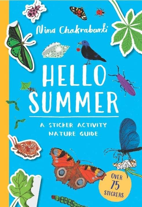 Hello Summer Sticker Activity Book