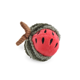 Watermelon rattle