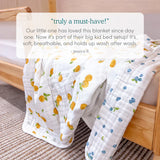 Aden & Anais Muslin Dream Blanket