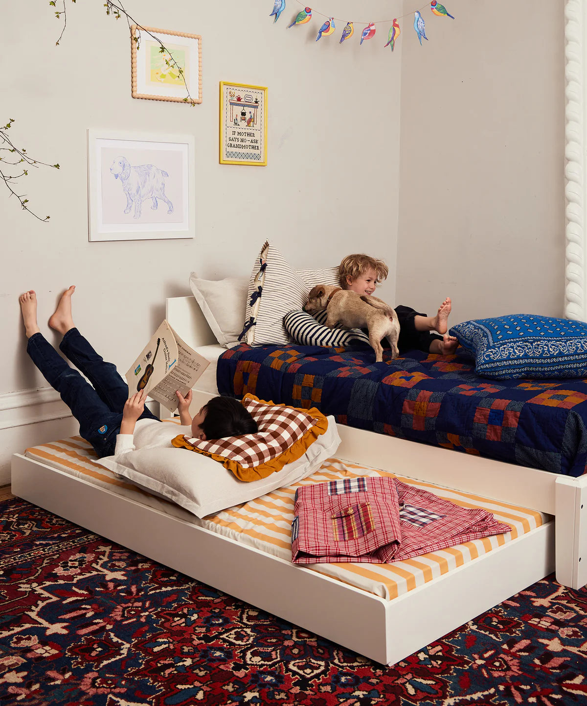 Oeuf Perch Trundle Bed & Ladder Conversion Kit