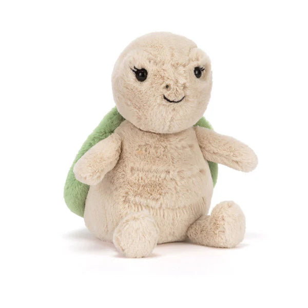 Thimble Turtle