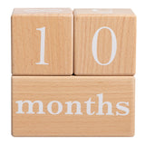 Natural Wooden Milestone Blocks Photo Prop