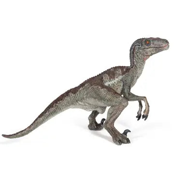 Velociraptor