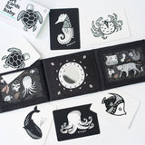 Baby Tummy Time Gallery Gift Set