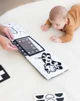0-6 Months Learning Kit 8 piece Developmental Toys