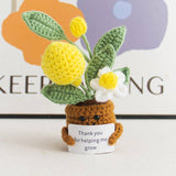 Handmade Knitted Potted Plants Cotton Desk Decor