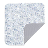Boston Baby Blanket