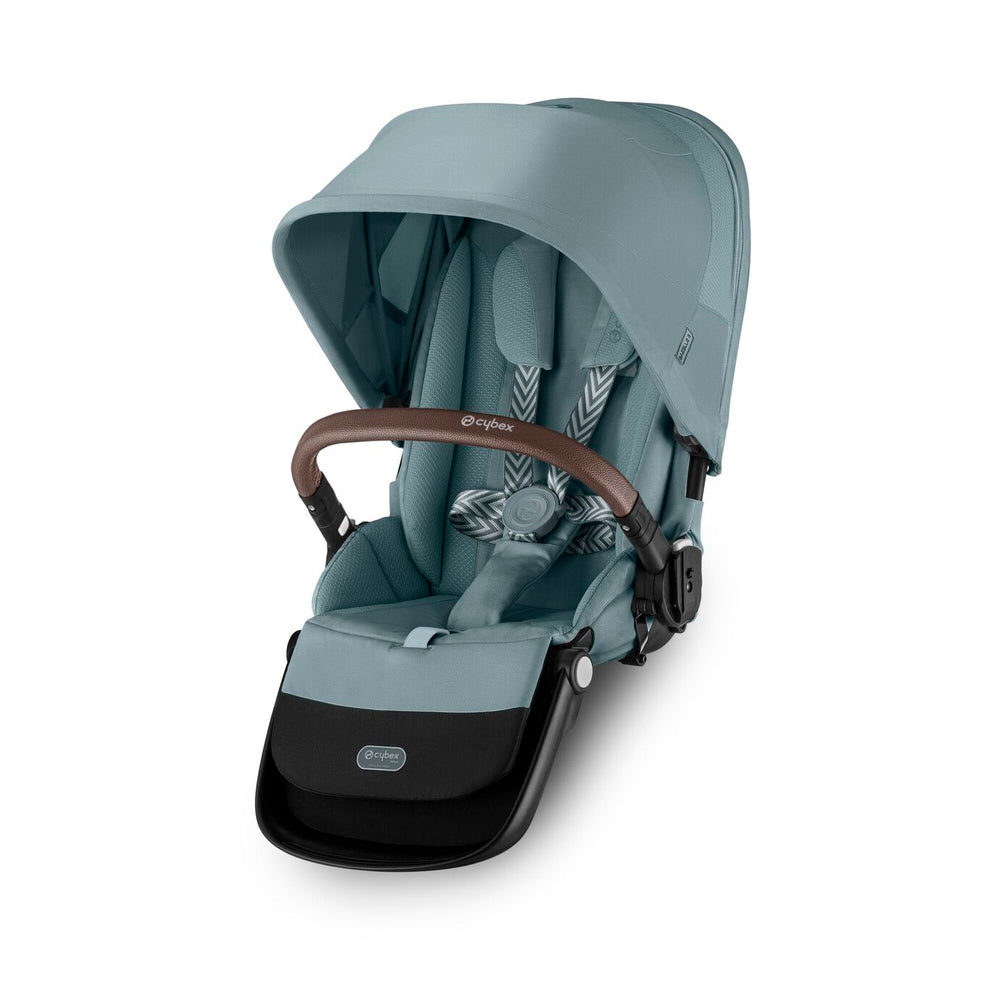 Sky Blue (Taupe Frame)