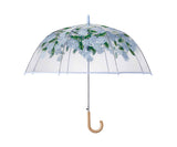 Hydrangea Clear Umbrella