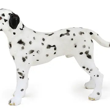 Dalmatian