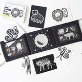 Baby Tummy Time Gallery Gift Set