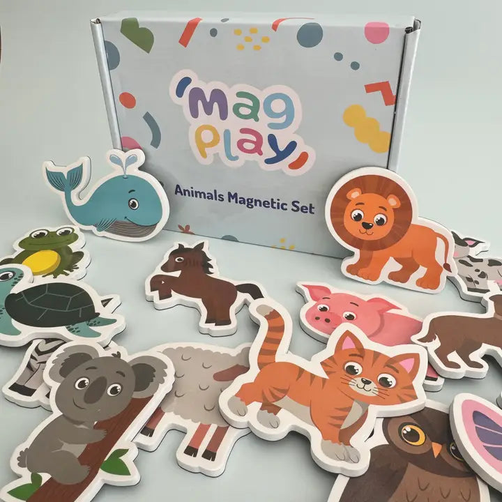 Animal Magnet Kit