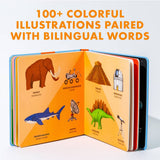Big Bilingual Book First Words