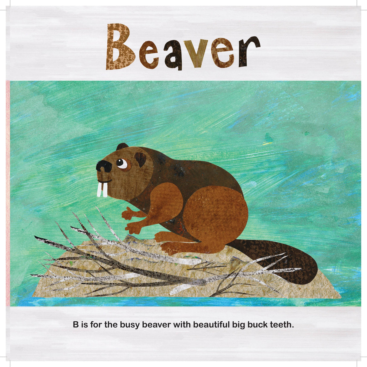 New England Animals A to Z