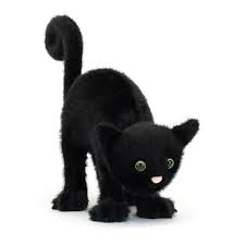 Spookipaws Cat