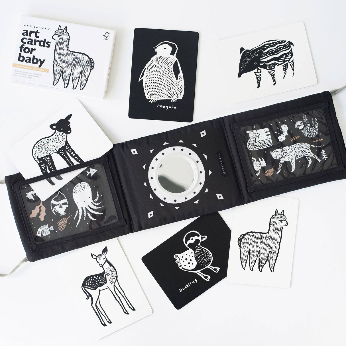 Baby Tummy Time Gallery Gift Set