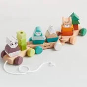 Bigjigs Activity Pull Along Train