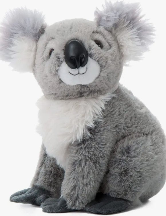 12" (26cm) Wild Onez Koala - Tadpole