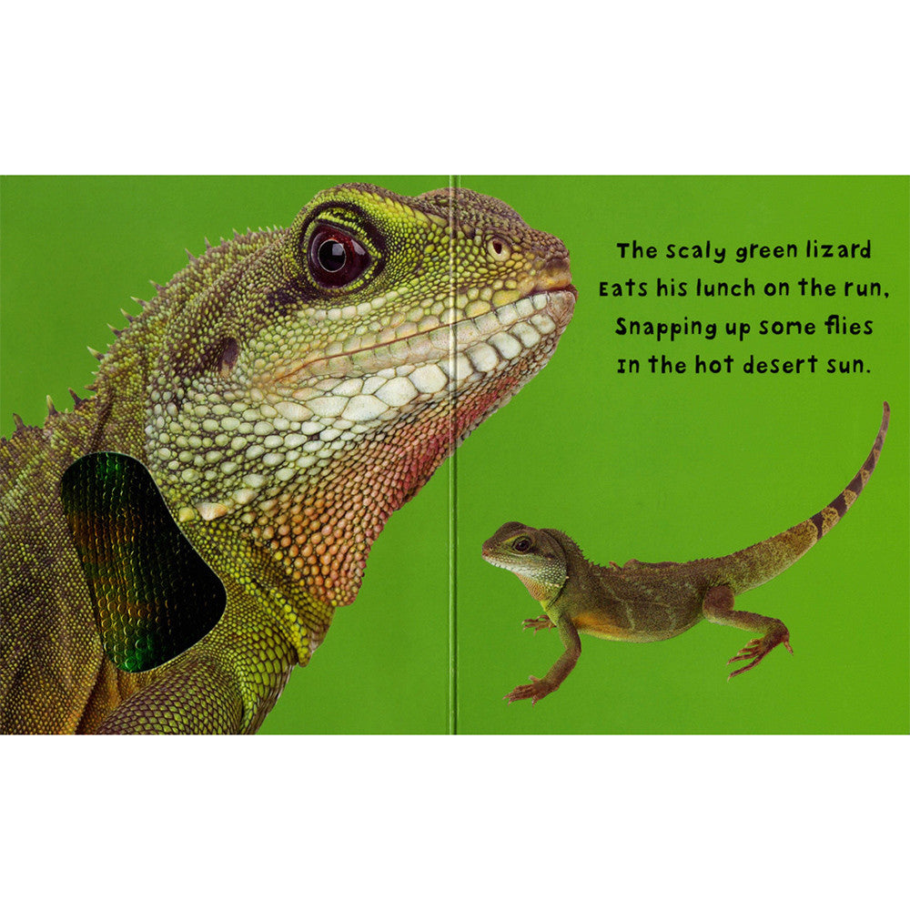 Bright Baby Touch & Feel: Zoo - Tadpole