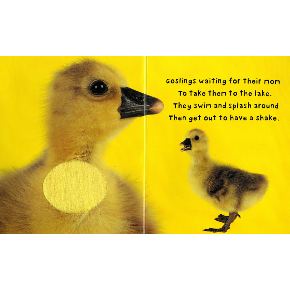 Bright Baby Touch n' Feel: Animals - Tadpole