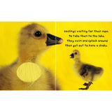 Bright Baby Touch n' Feel: Animals - Tadpole