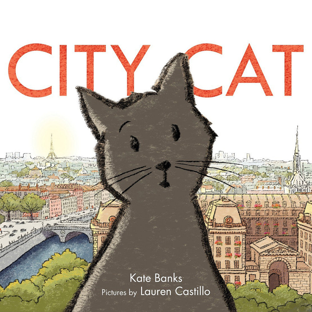 City Cat