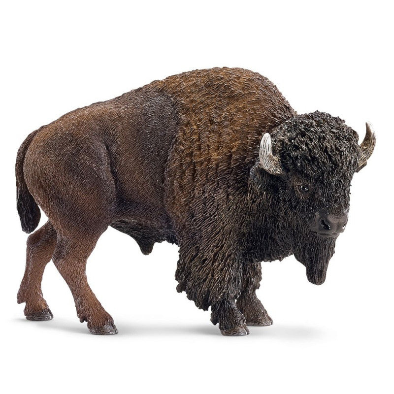 Schleich American Bison - Tadpole