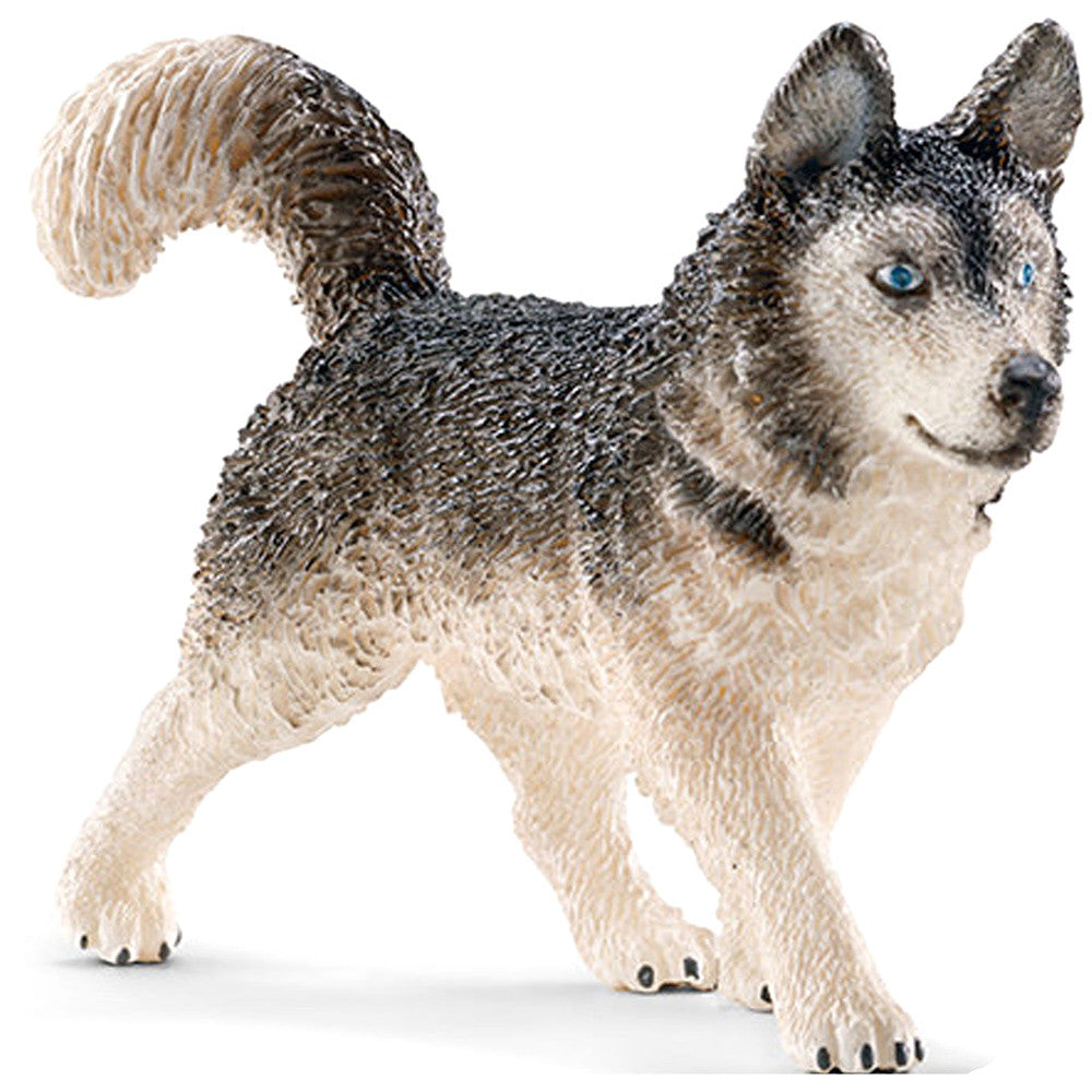 Schleich Husky