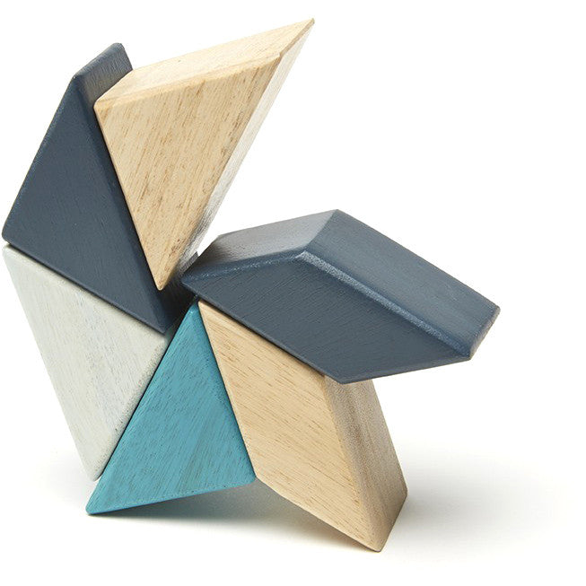 Tegu Pocket Pouch Prism Magnetic Block Set - Tadpole