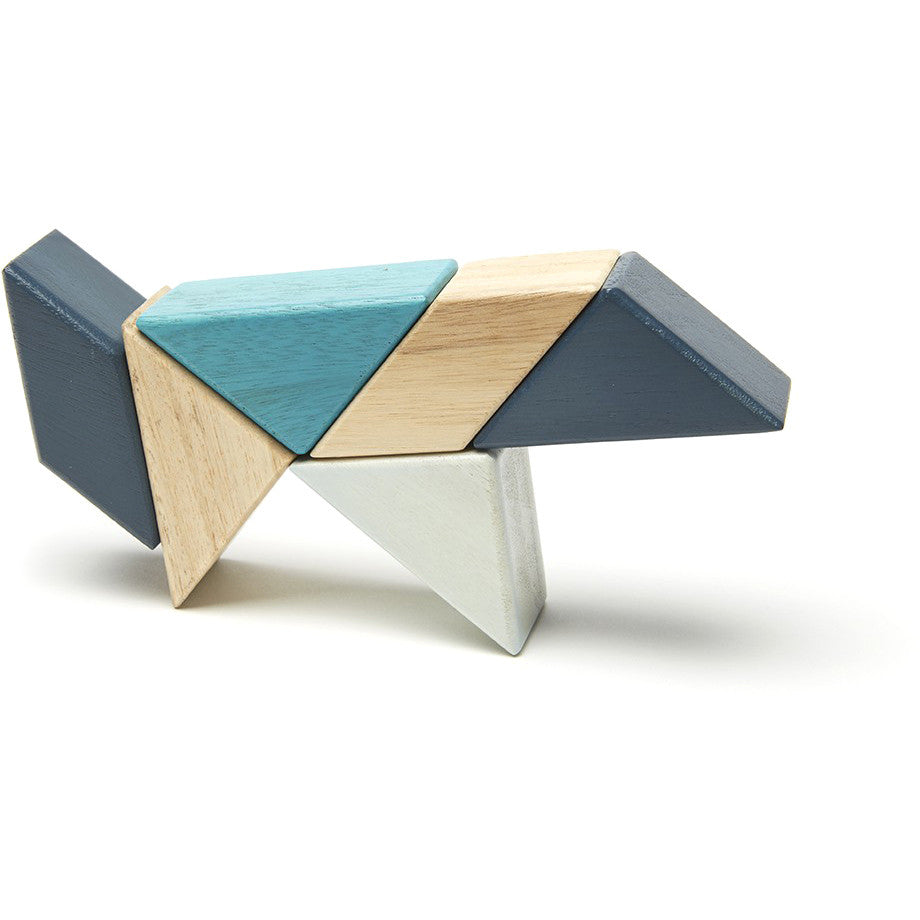 Tegu Pocket Pouch Prism Magnetic Block Set - Tadpole