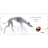 A Greyhound, A Groundhog - Tadpole