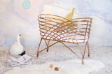Aura Metal Bassinet - Tadpole