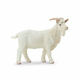 Billy Goat - Tadpole