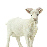Billy Goat - Tadpole