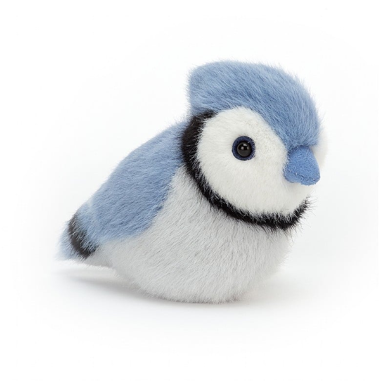 Birdling Blue Jay - Tadpole