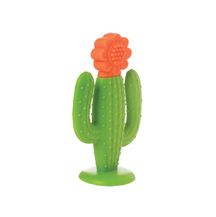 Cactus Silicone Teether - Tadpole