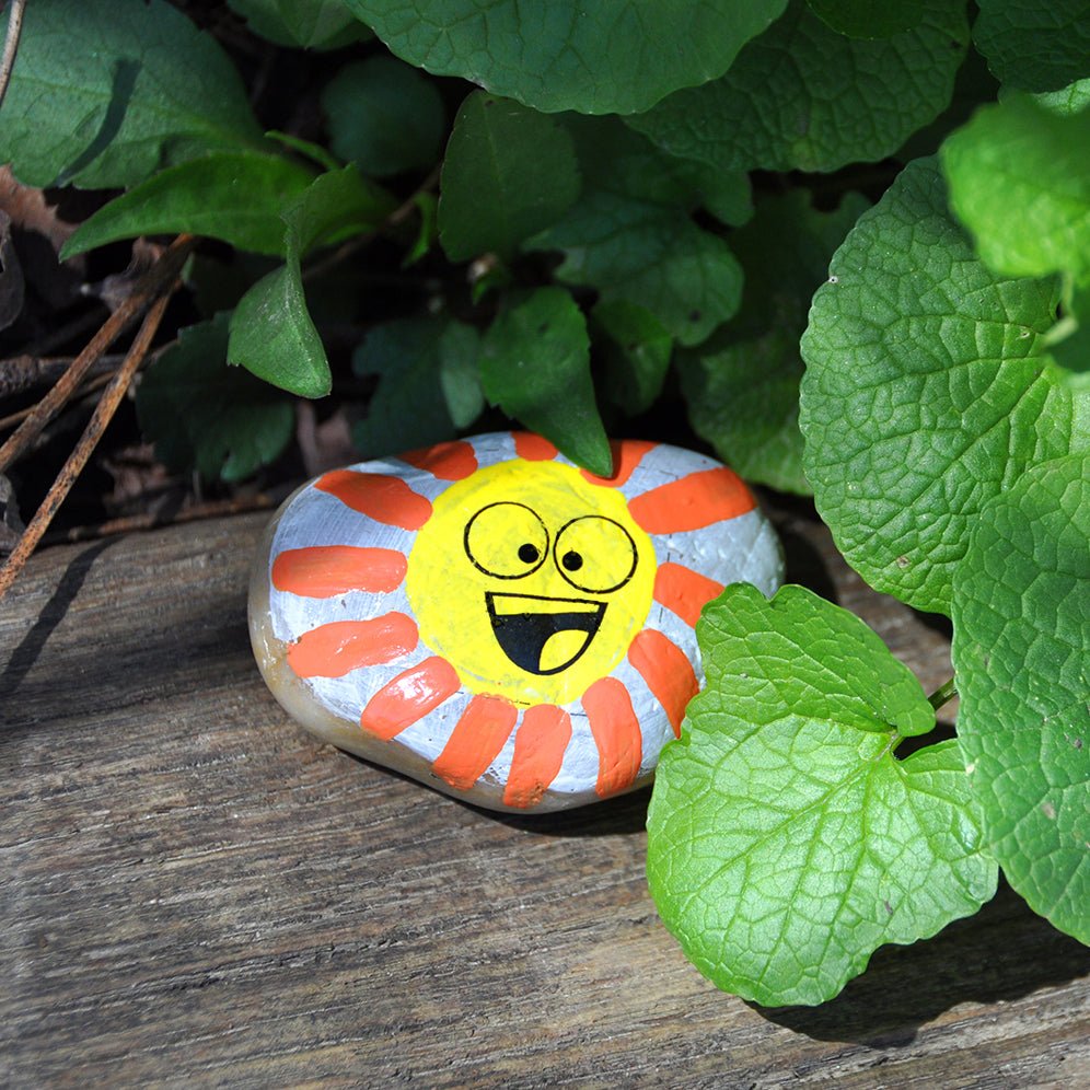 Creativity For Kids Hide & Seek Rock Painting Kit - Tadpole