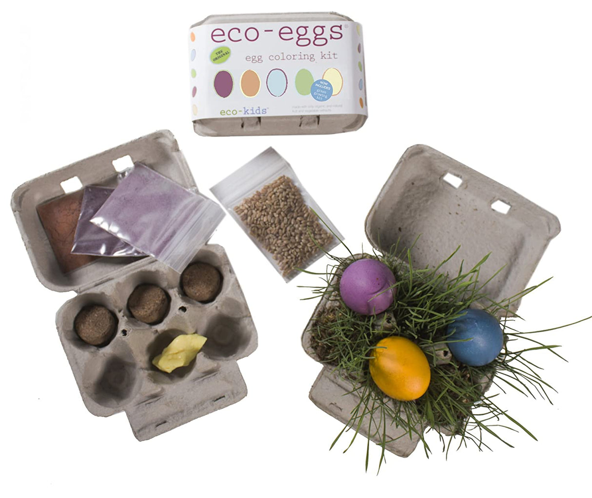 Eco-Eggs Coloring Kit - Tadpole