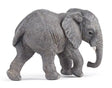 Elephant - Young African Elephant - Tadpole