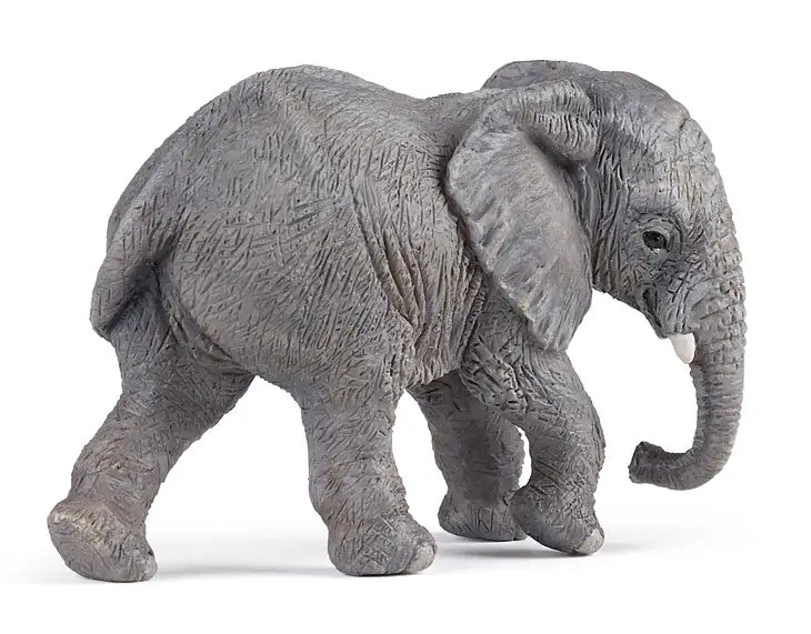Elephant - Young African Elephant - Tadpole