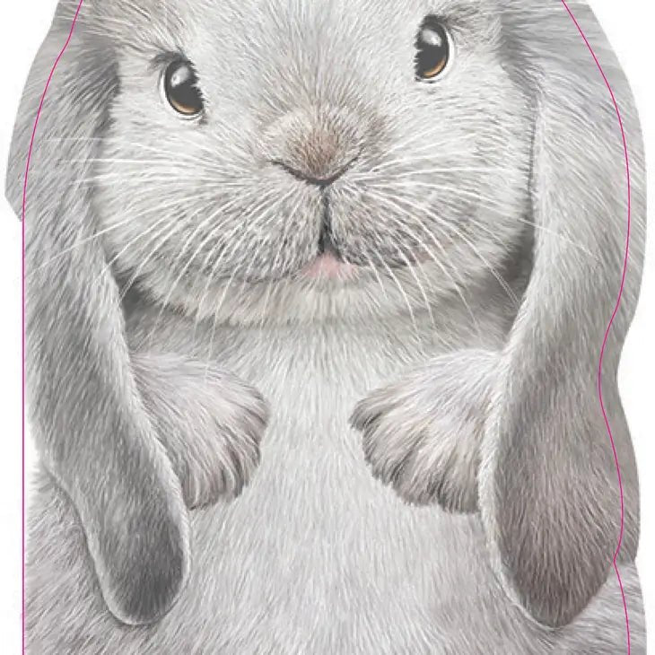 Furry Bunny (BB) - Tadpole