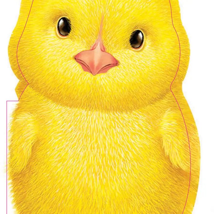Furry Chick (BB) - Tadpole