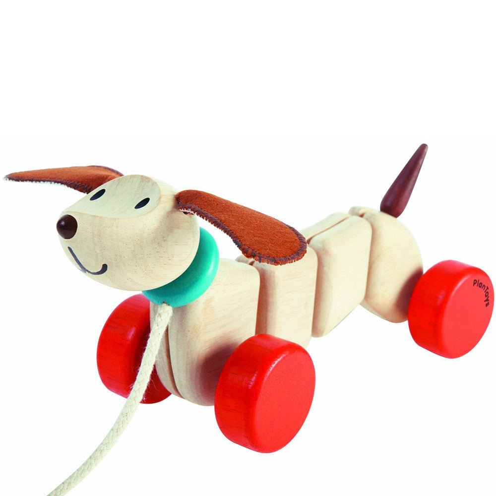 Happy Puppy - Tadpole