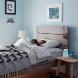 Hatch Rest+ Sound Machine, Night Light, Time-to-Rise & Audio - Tadpole