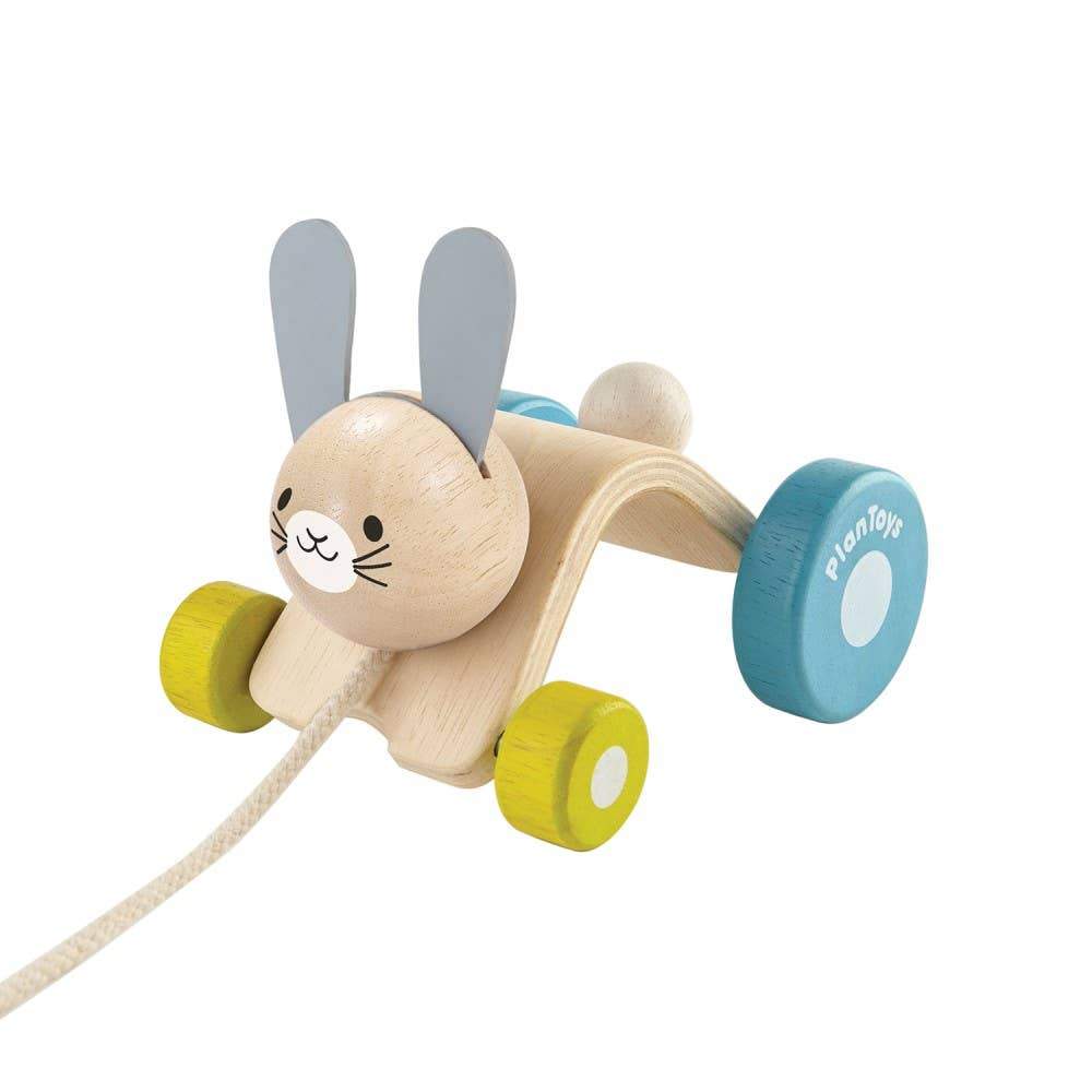 Hopping Rabbit - Tadpole