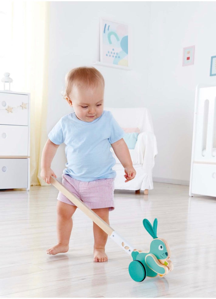 Hape Bunny Push Pal - Tadpole