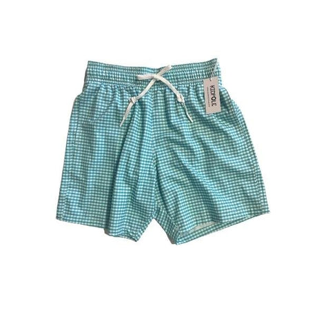Kidpole Men's Mint Gingham Swimming Shorts - Tadpole
